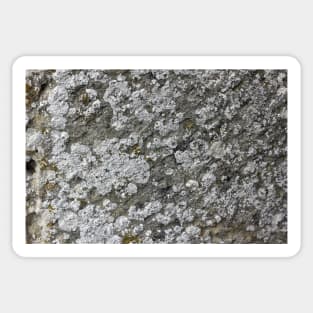 lichen texture Sticker